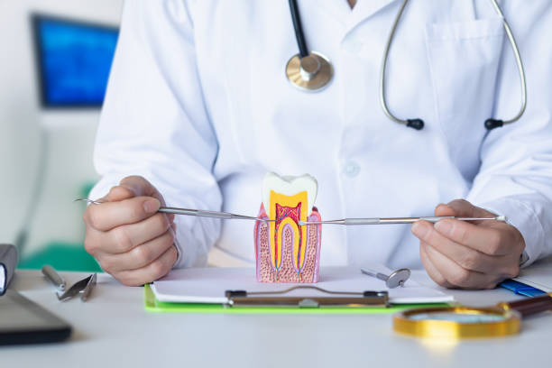 Best Emergency Denture Repair in Lipatria, CA